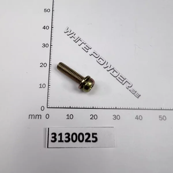 Polaris 3130025 - Screw & Washer