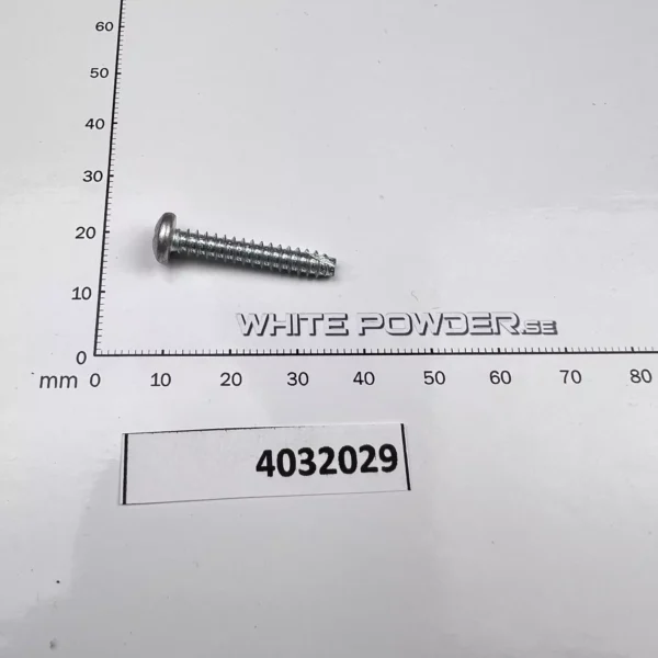 Polaris 4032029 - Screw, Taillight