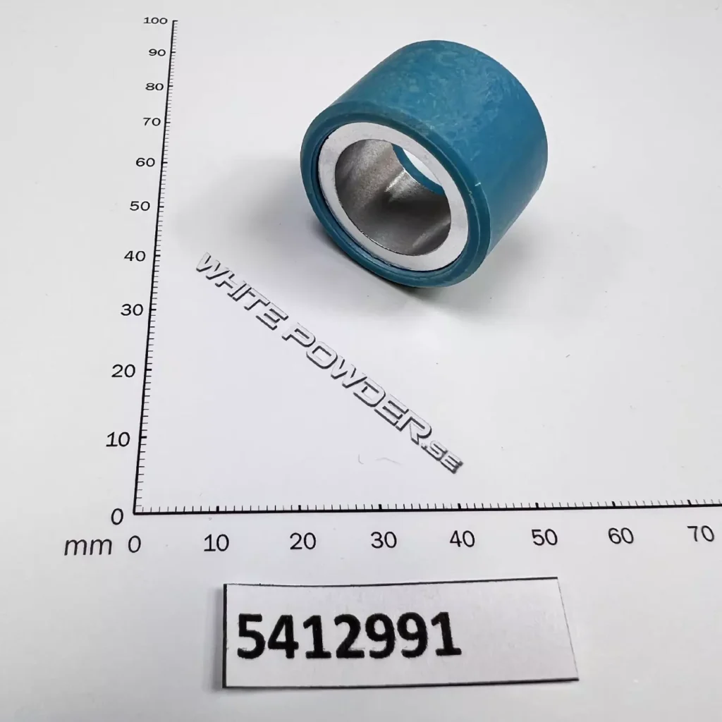 Polaris 5412991 - ROLLER Weight -16g BLUE