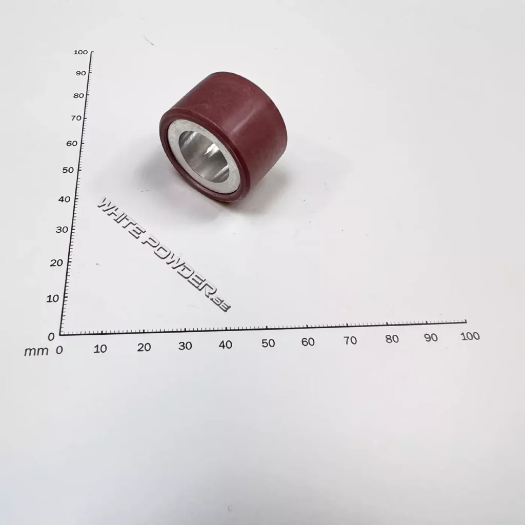 Polaris 5412992 - ROLLER Weight -18g VIOLET