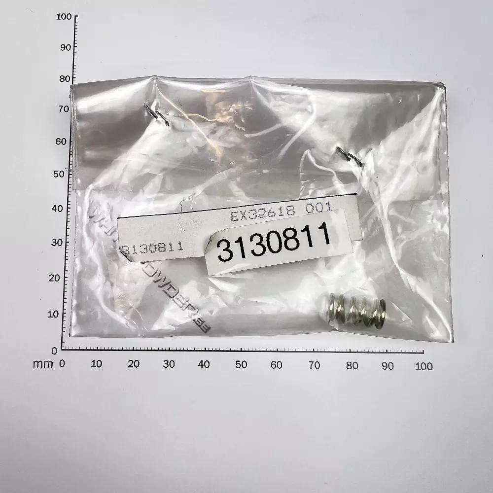 Polaris 3130811 - Spring