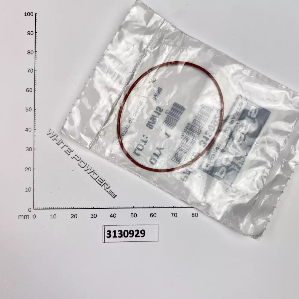 Polaris 3130929 - O-Ring,