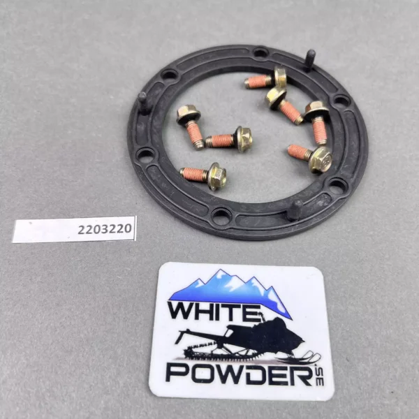 Polaris 5412952 - Fuel Pump Gasket