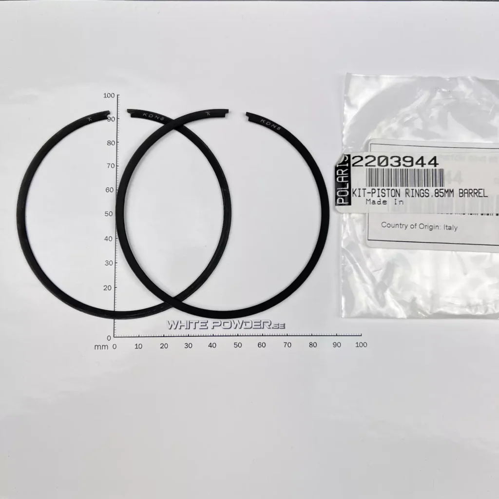 Polaris 2203944