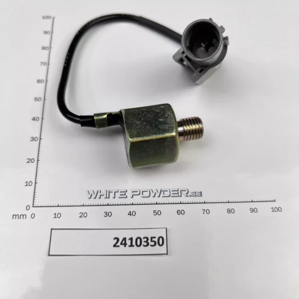 Polaris 2410350