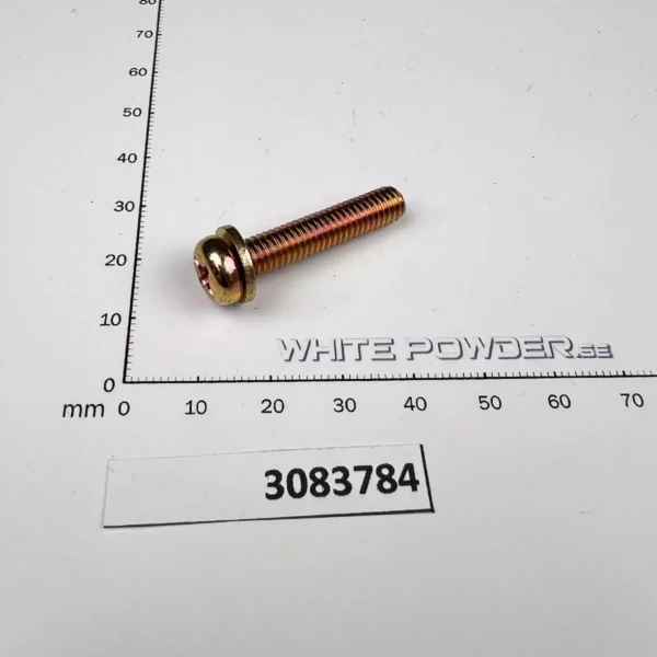 Polaris 3083784 - Screw & Washer
