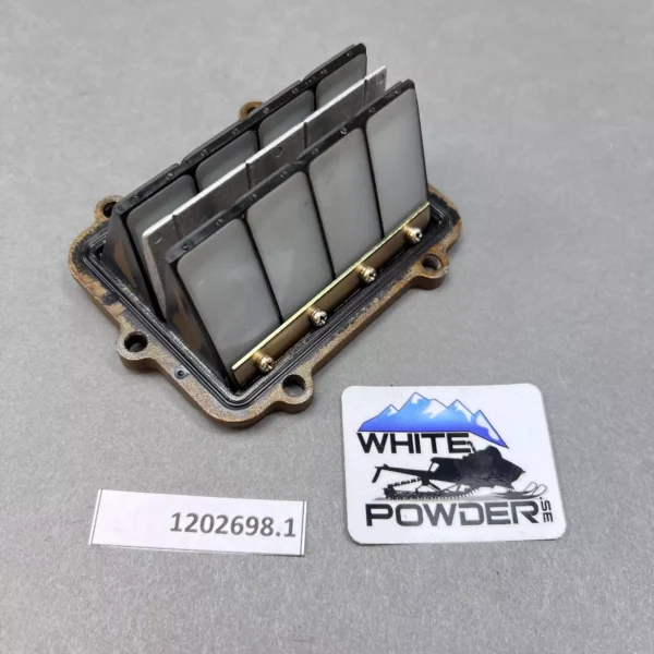 Polaris 1202698