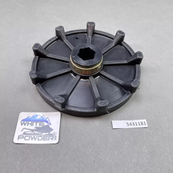 Polaris 5431181