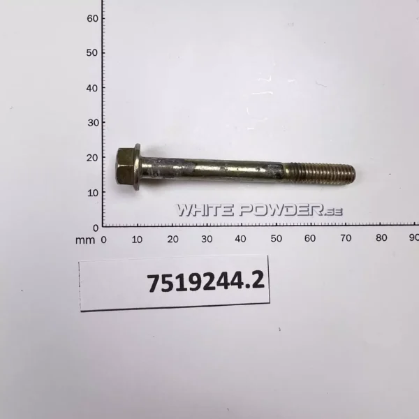 Polaris 7519244 Screw