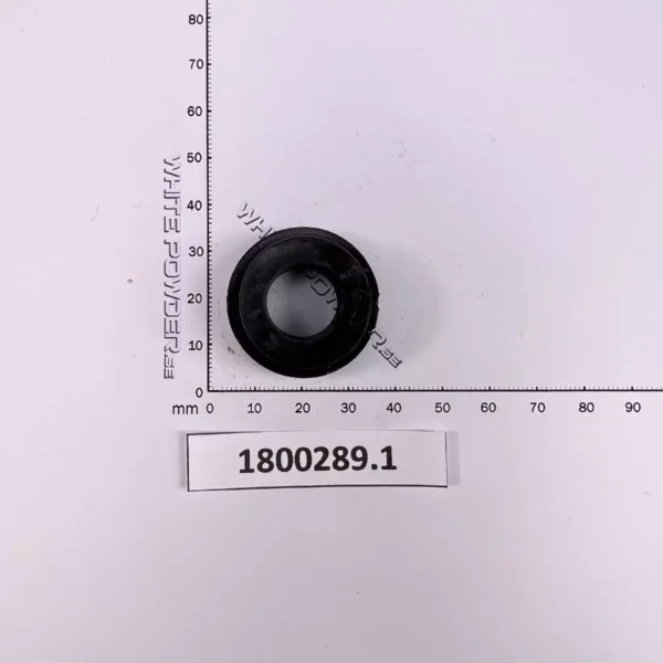 Polaris 1800289