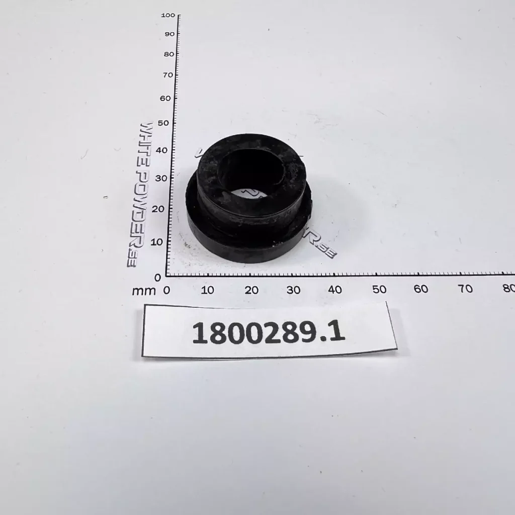 Polaris 1800289