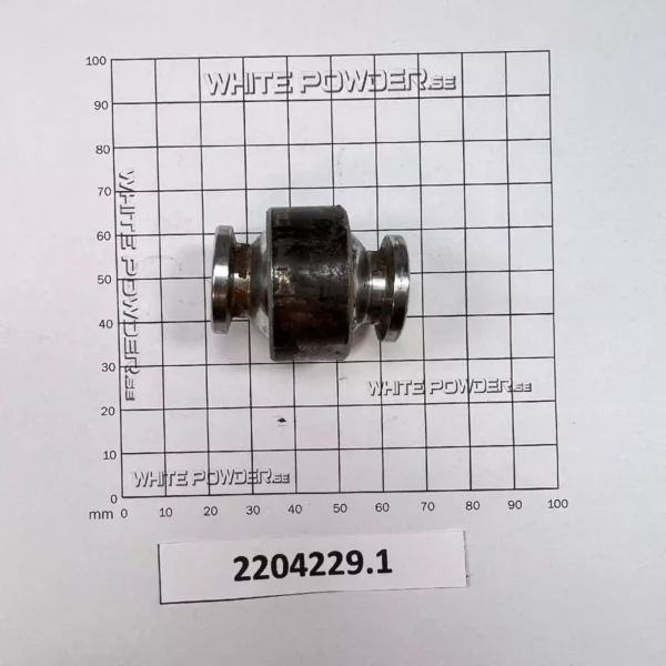 Polaris 2204229