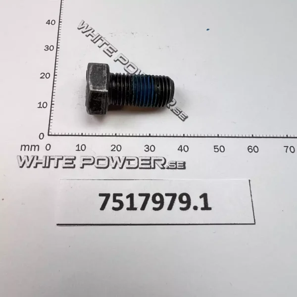 Polaris 7517979
