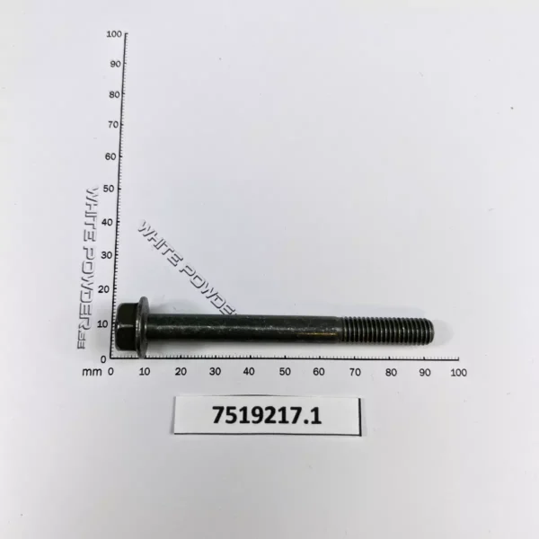 Polaris 7519217