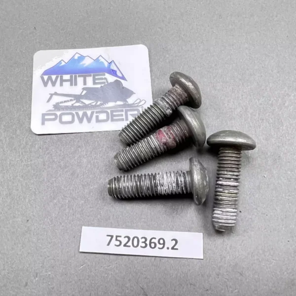 Polaris 7520369
