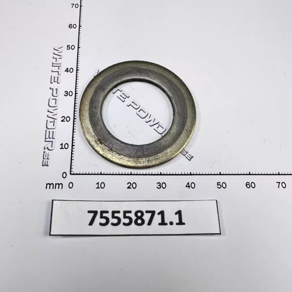 Polaris 7555871