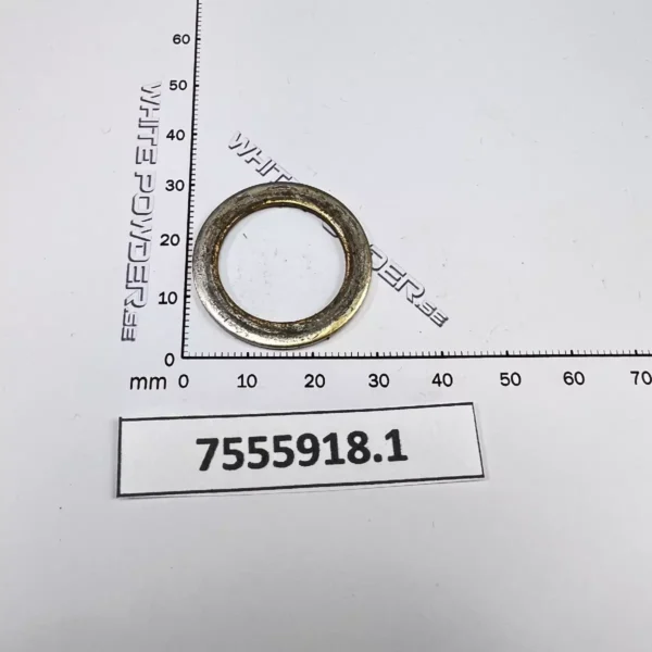 Polaris 7555918