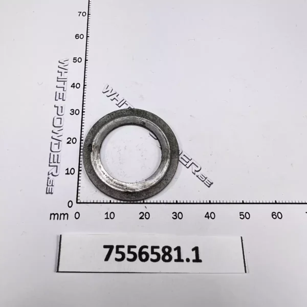 Polaris 7556581