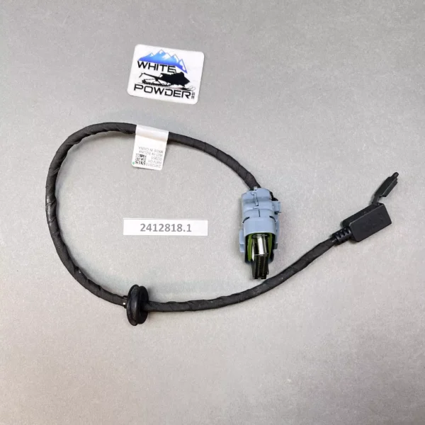 Polaris 2412818
