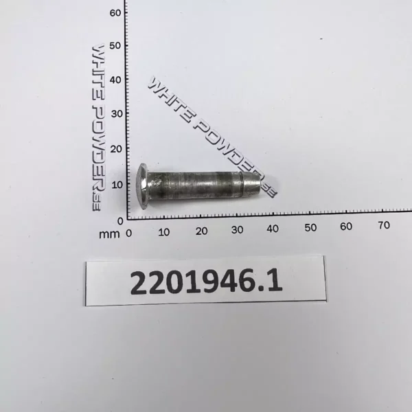 Polaris 2201946