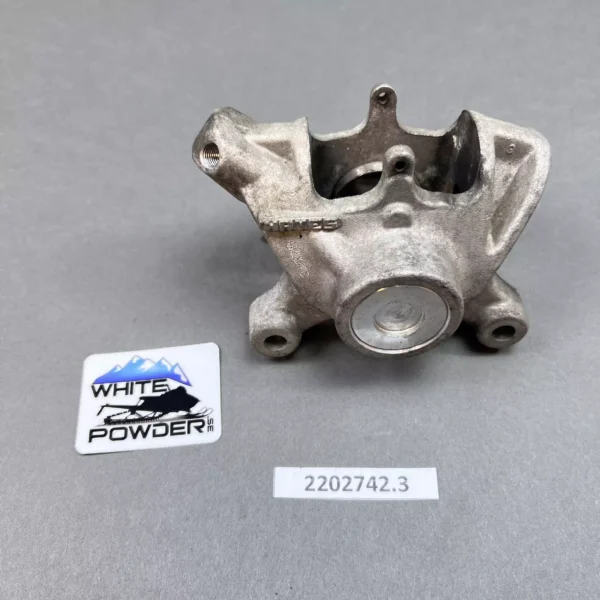 Polaris 2202742