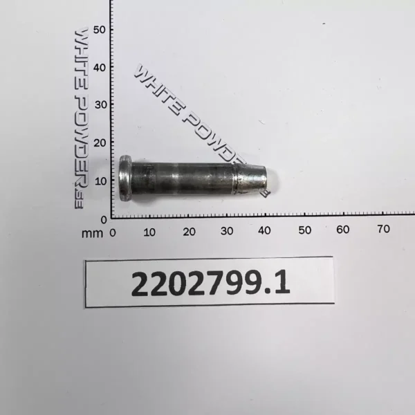 Polaris 2202799