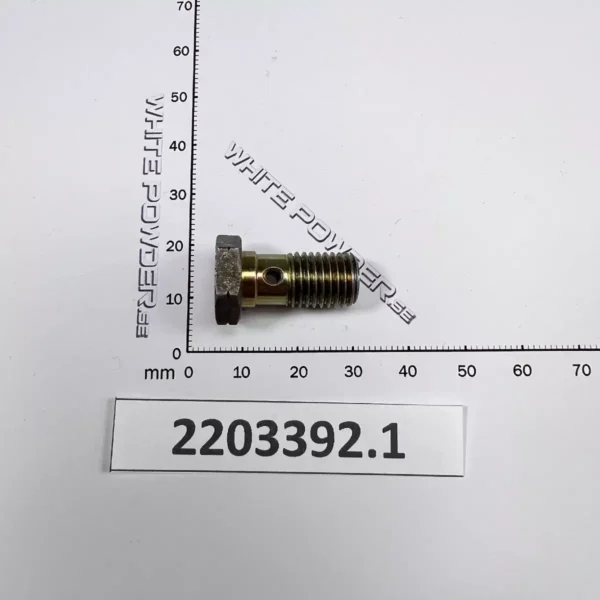 Polaris 2203392