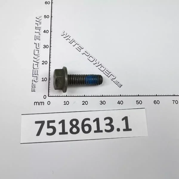 Polaris 7518613