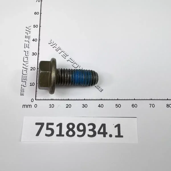 Polaris 7518934