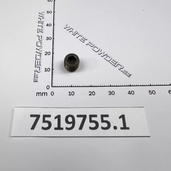 Polaris 7519755
