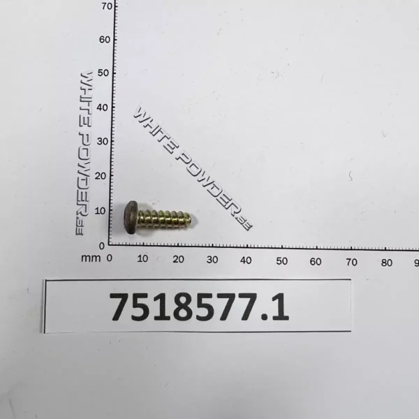 Polaris 7518577