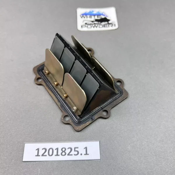 Polaris 1201825