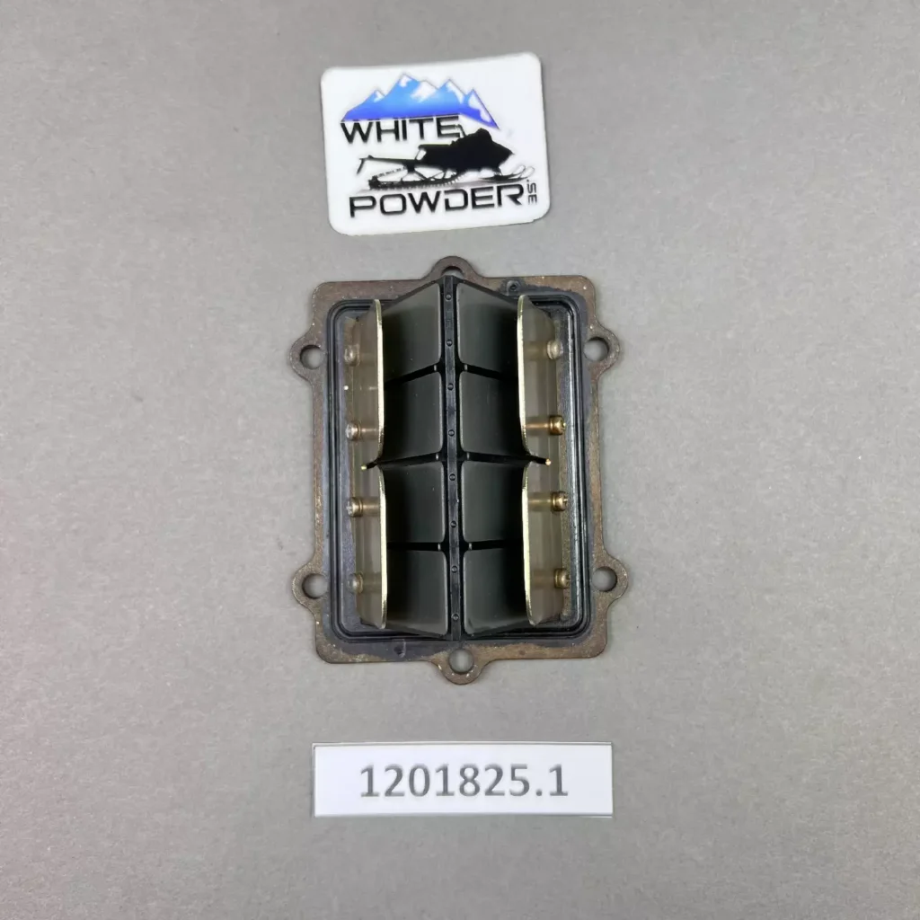 Polaris 1201825
