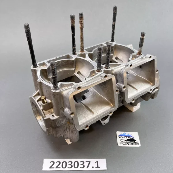 Polaris 2203037