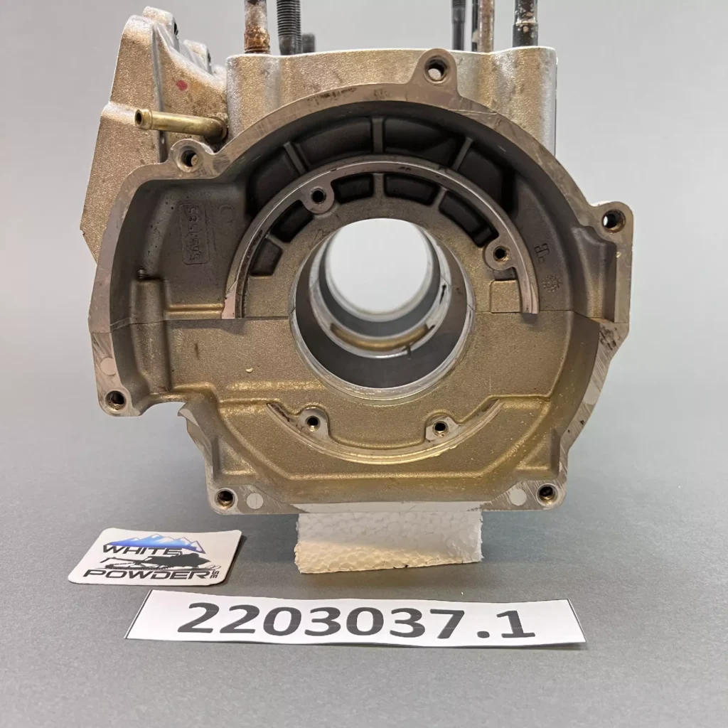 Polaris 2203037