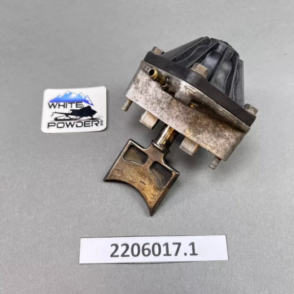 Polaris 2206017