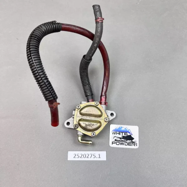 Polaris 2520275