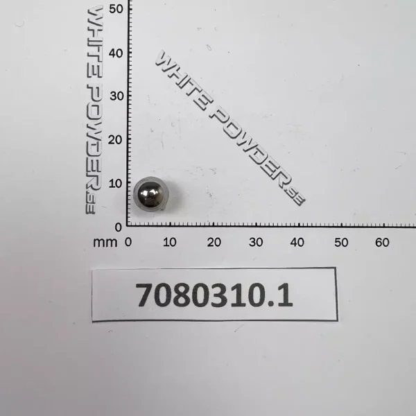 Polaris 7080310