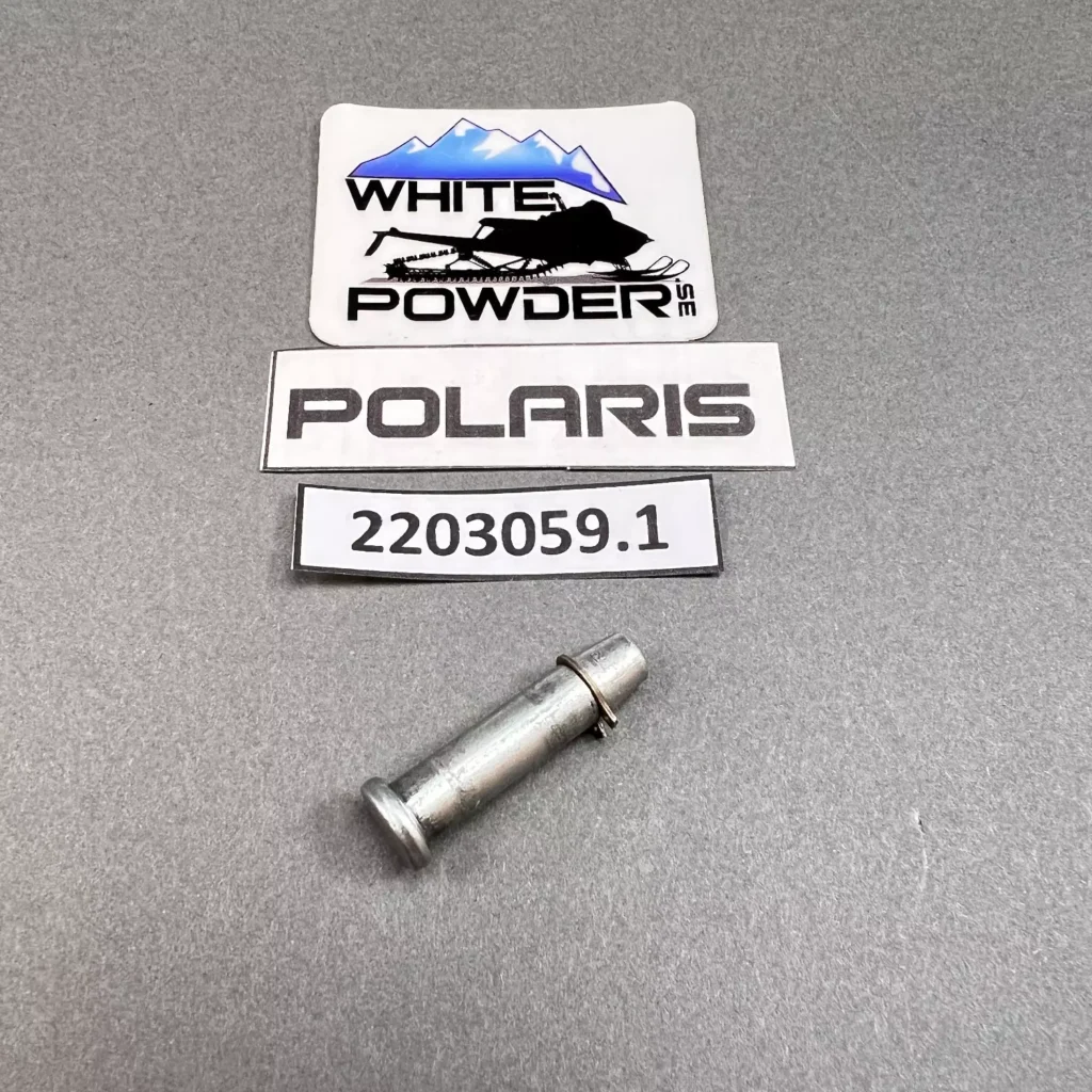 Polaris 2203059