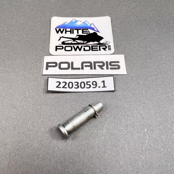 Polaris 2203059