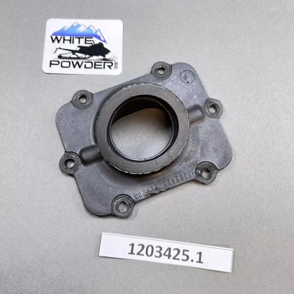 Polaris 1203425