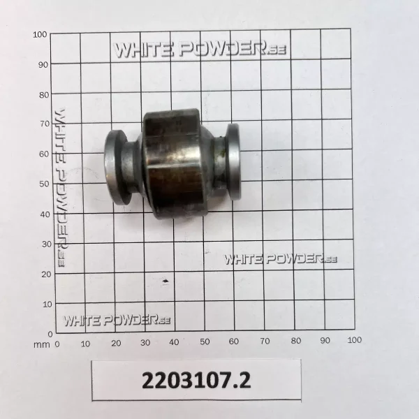 Polaris 2203107
