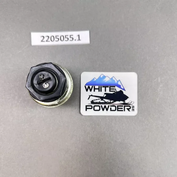 Polaris 2205055