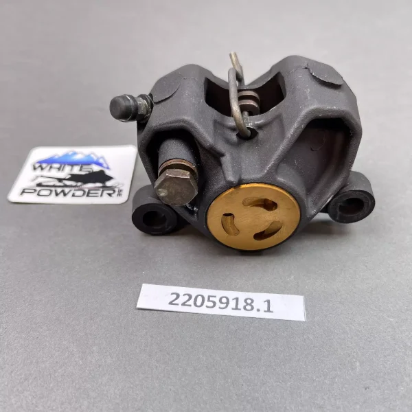 Polaris 2205918