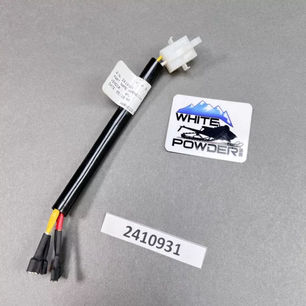 Polaris 2410931