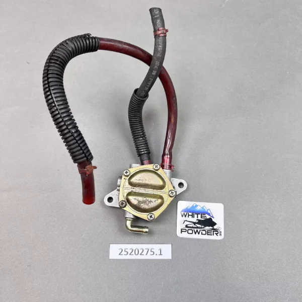 Polaris 2520275