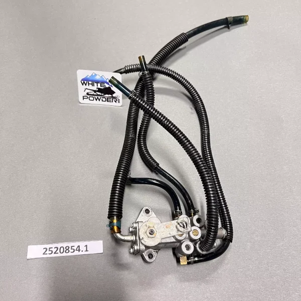 Polaris 2520854