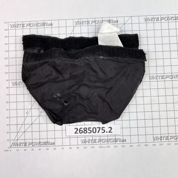 Polaris 2685075