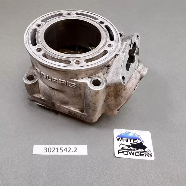 Polaris 3021542