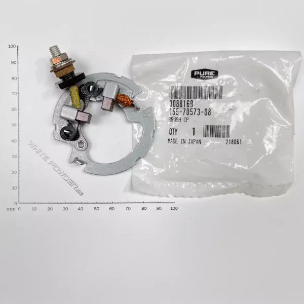 Polaris 3088169 - Carbon Brush Set
